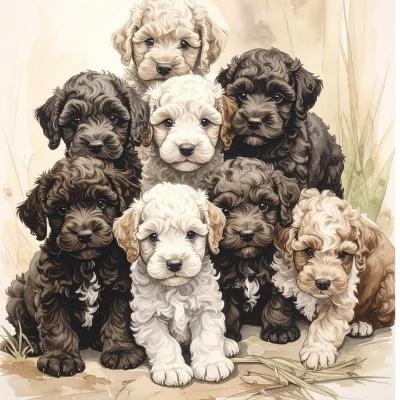 VENDO Cani a Cuneo – foto 1