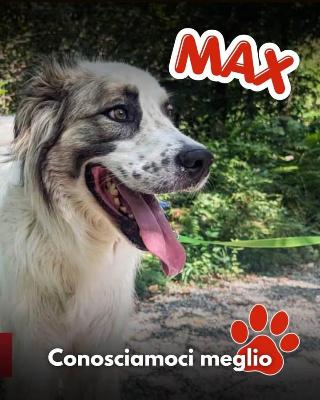 VENDO Cani a Mariano Comense – foto 1
