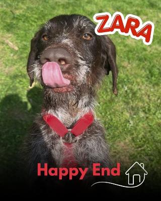 VENDO Cani a Mariano Comense &ndash; foto 1