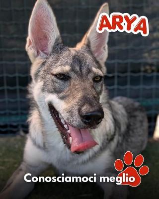 VENDO Cani a Mariano Comense &ndash; foto 1