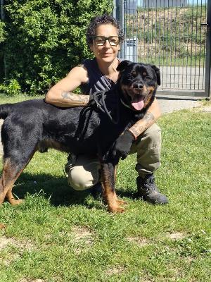 VENDO Cani a Formigine &ndash; foto 1