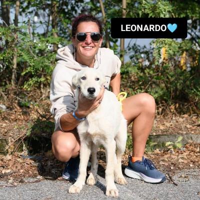 VENDO Cani a Bergamo &ndash; foto 1