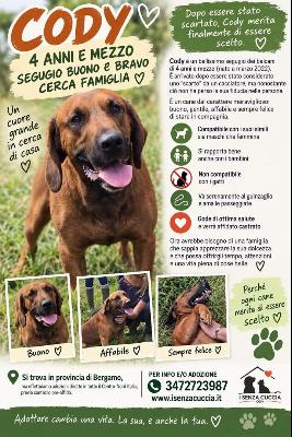 VENDO Cani a Bergamo &ndash; foto 1
