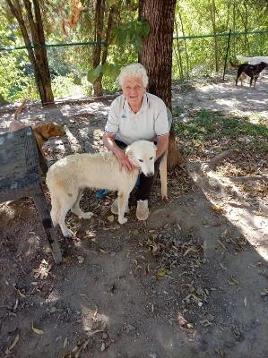 VENDO Cani a Perugia &ndash; foto 1